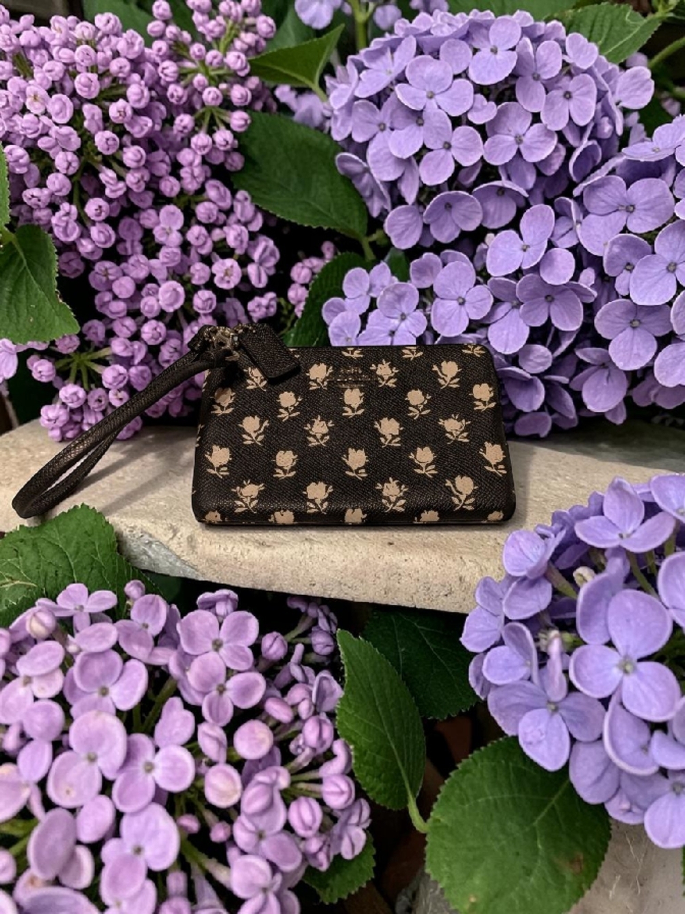 Coach Brown Floral Wristlet Card Case with Tan Accents